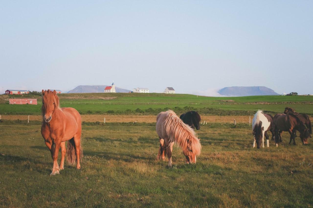 Sandur Þórshöfn Exterior foto